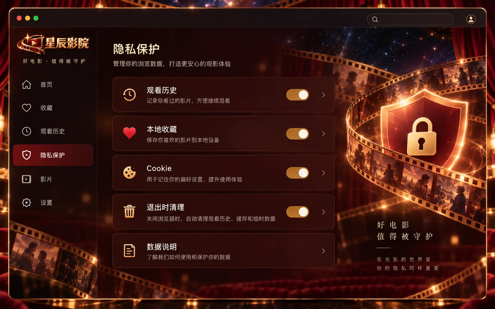 星辰影院浏览工具隐私设置界面